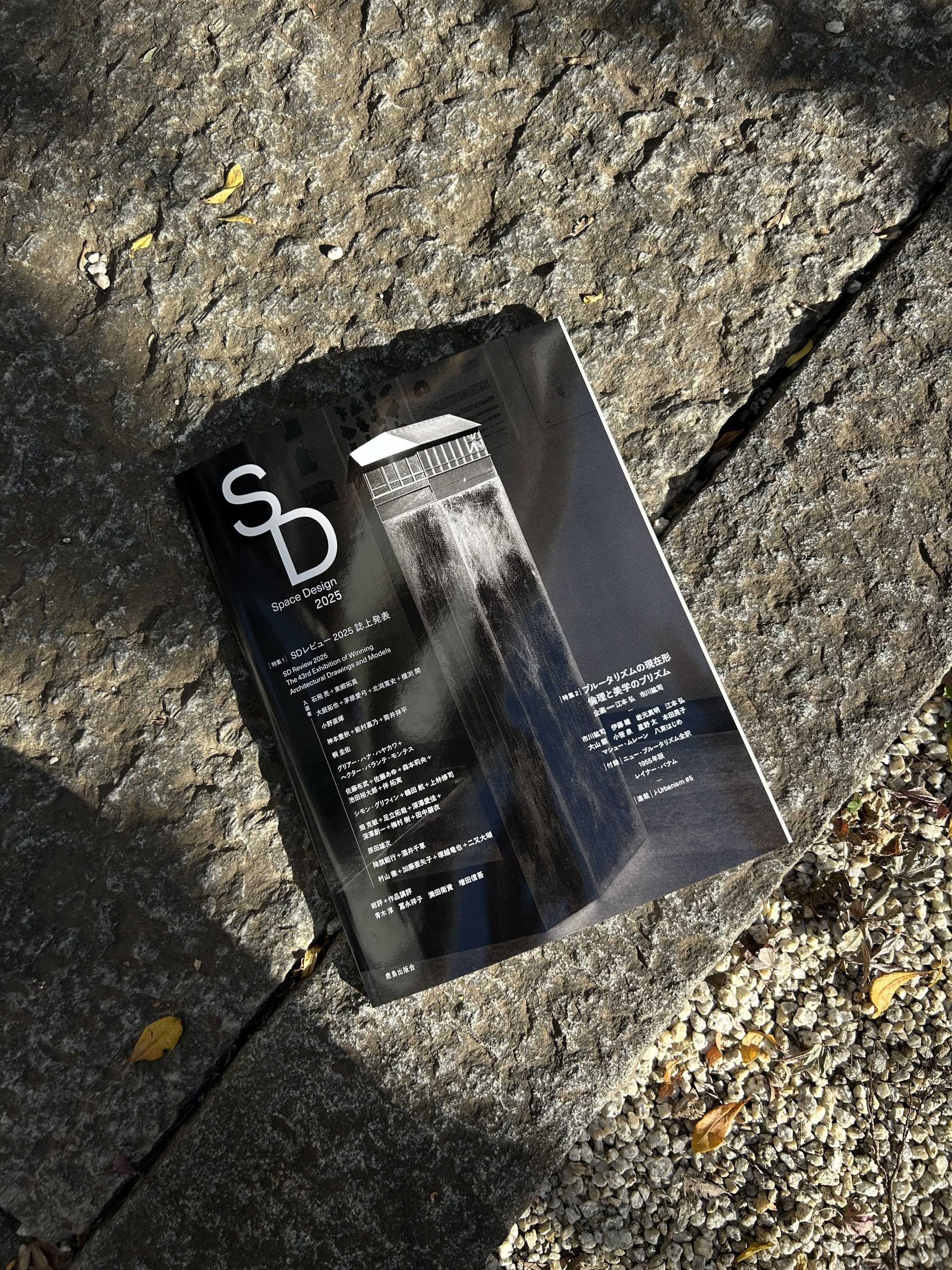 ゾンネストラール サナトリウム　近代建築の歴史と修復 ゾンネストラール サナトリウム 近代建築の歴史と修復 近代英語